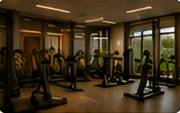 Gym & Fitness