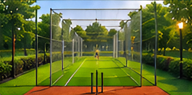 Cricket