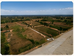Site View