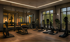 Fitness & Wellness
